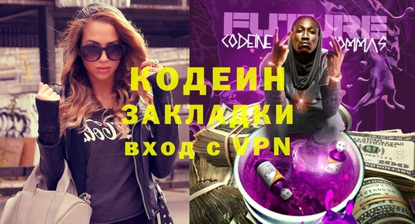 мдпв Гусь-Хрустальный