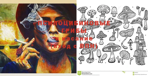 мдпв Гусь-Хрустальный