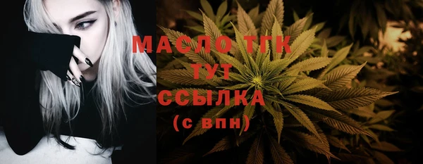 ГАЛЛЮЦИНОГЕННЫЕ ГРИБЫ Гусев