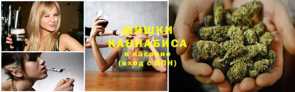 мдпв Гусь-Хрустальный