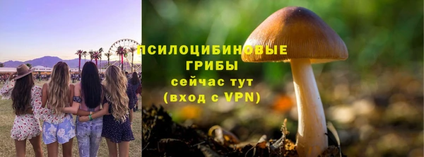 ГАЛЛЮЦИНОГЕННЫЕ ГРИБЫ Гусев