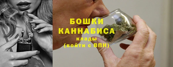 ГАЛЛЮЦИНОГЕННЫЕ ГРИБЫ Гусев