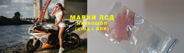 ГАЛЛЮЦИНОГЕННЫЕ ГРИБЫ Гусев