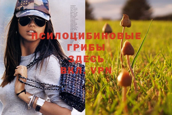 мдпв Гусь-Хрустальный
