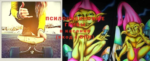 ГАЛЛЮЦИНОГЕННЫЕ ГРИБЫ Гусев