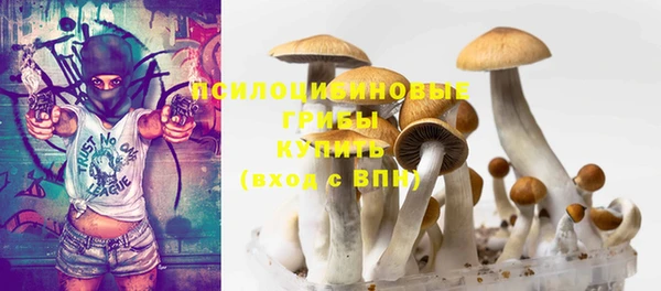 мдпв Гусь-Хрустальный