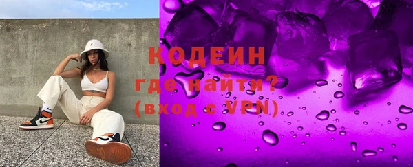 ГАЛЛЮЦИНОГЕННЫЕ ГРИБЫ Гусев