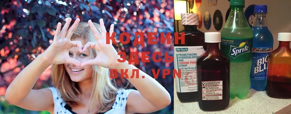 ГАЛЛЮЦИНОГЕННЫЕ ГРИБЫ Гусев