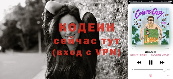 ГАЛЛЮЦИНОГЕННЫЕ ГРИБЫ Гусев