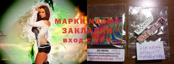 ГАЛЛЮЦИНОГЕННЫЕ ГРИБЫ Гусев