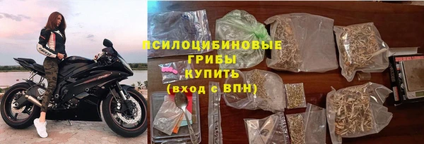 прущая мука Гусиноозёрск