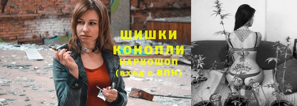 ГАЛЛЮЦИНОГЕННЫЕ ГРИБЫ Гусев