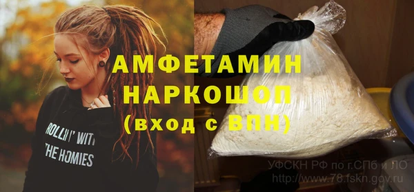 ГАЛЛЮЦИНОГЕННЫЕ ГРИБЫ Гусев