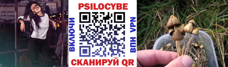 Псилоцибиновые грибы мицелий  Купить где  Лихославль 